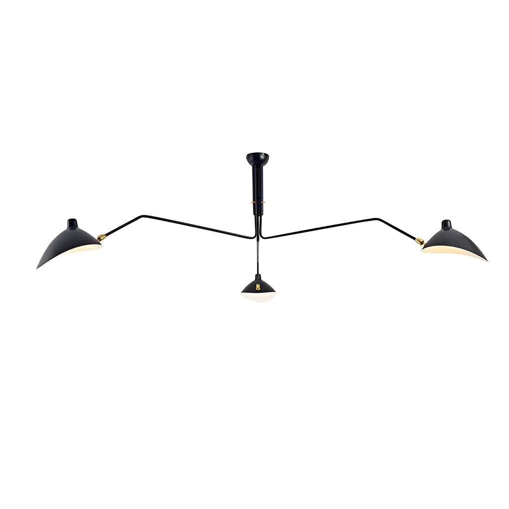 Swing-Arm Ceiling Light, Black